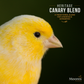 Heritage Singing Canary Mixture
