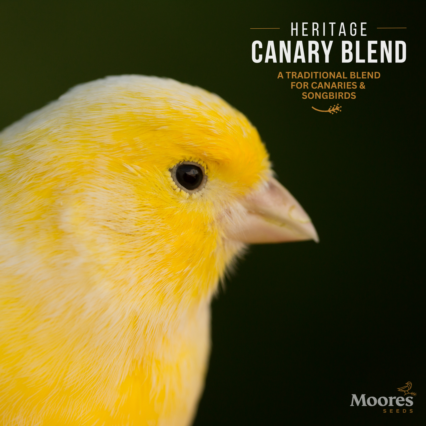 Heritage Singing Canary Mixture