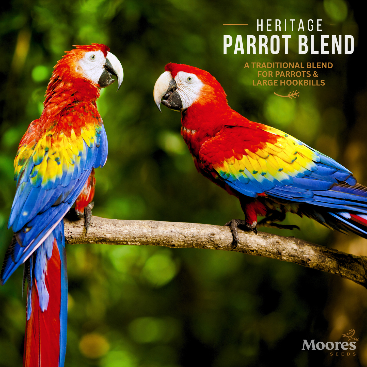 Heritage Parrot Mixture