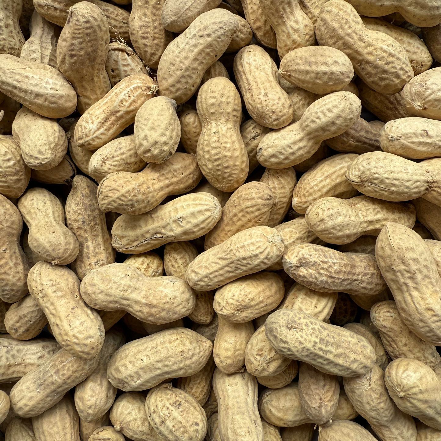 In Shell Peanuts