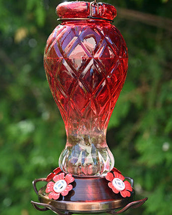 Red Jewel Glass Hummingbird Feeder