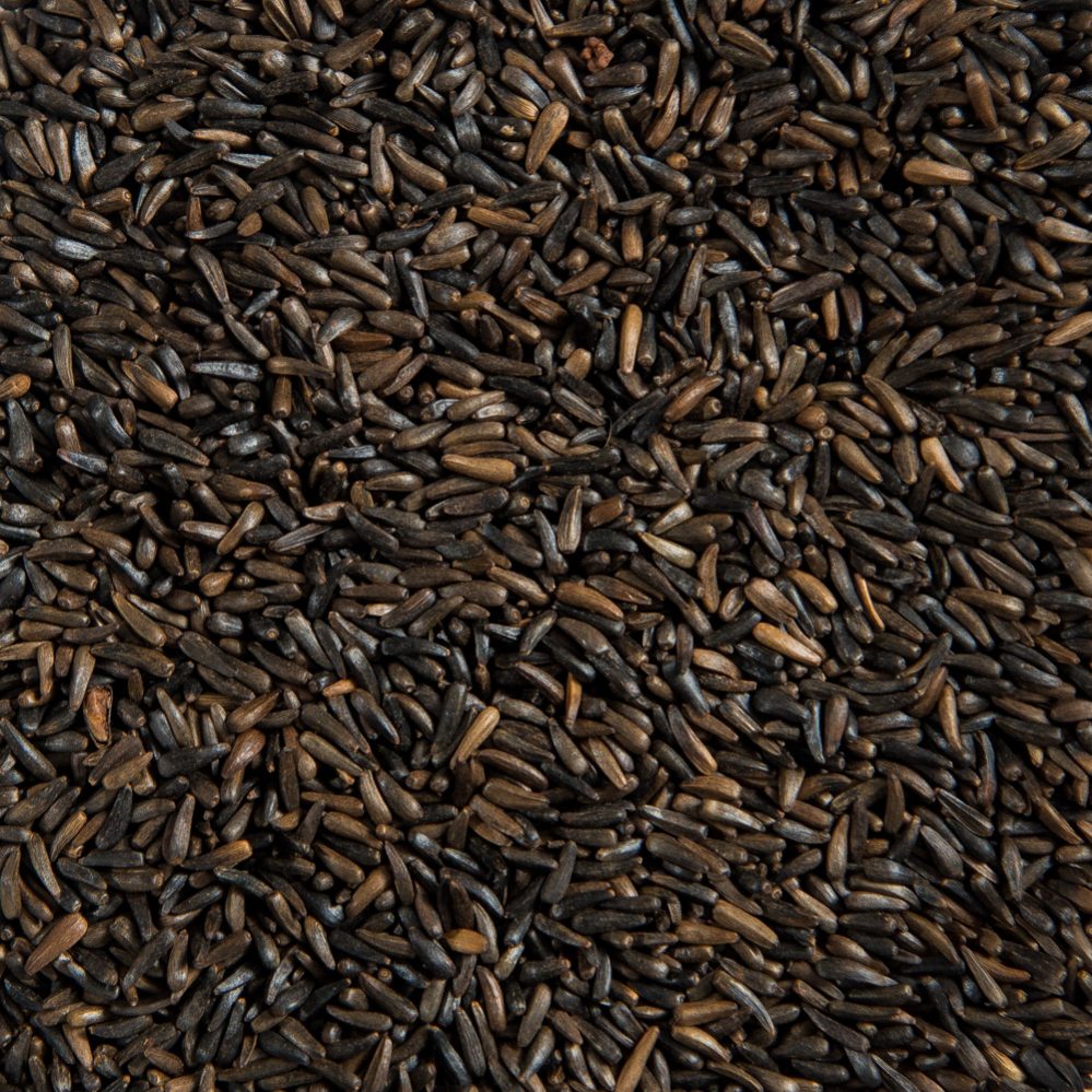 Nyjer Seed