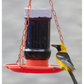 Oriole Jelly Wild Bird Feeder