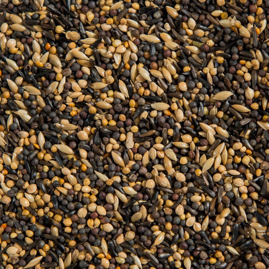 Outdoor Finch Mixture