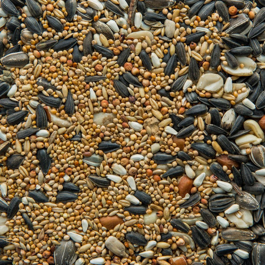 Premium Outdoor Mixture