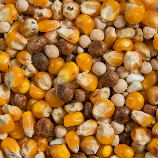 Double X Racing Mixture