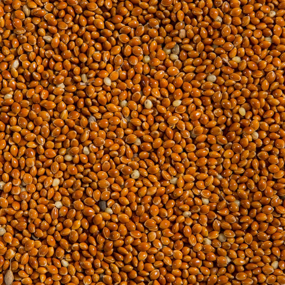 Red Millet