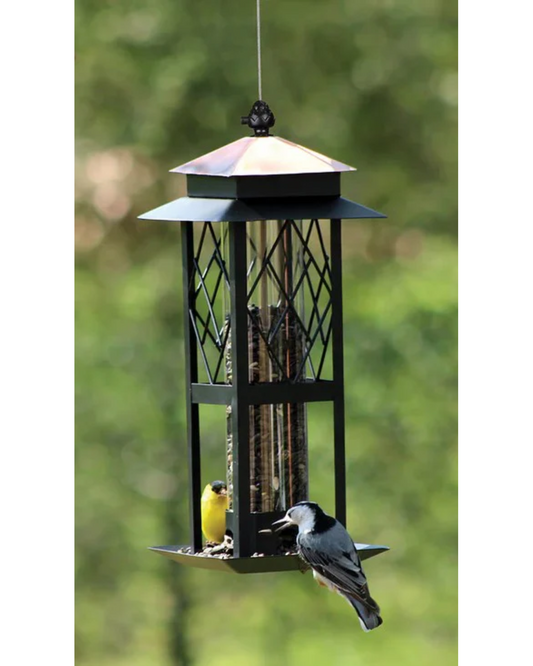 Regal Style Trellis Tube Feeder