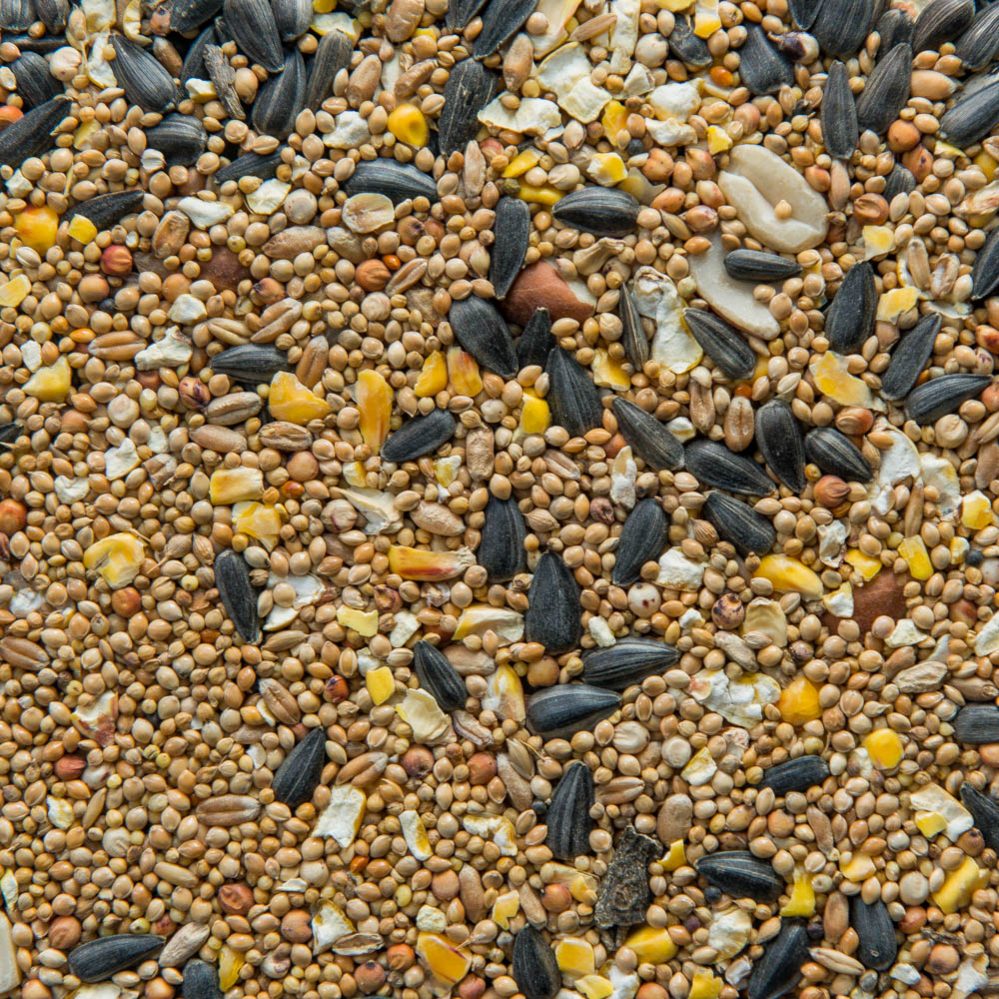 Regular Outdoor Mixture