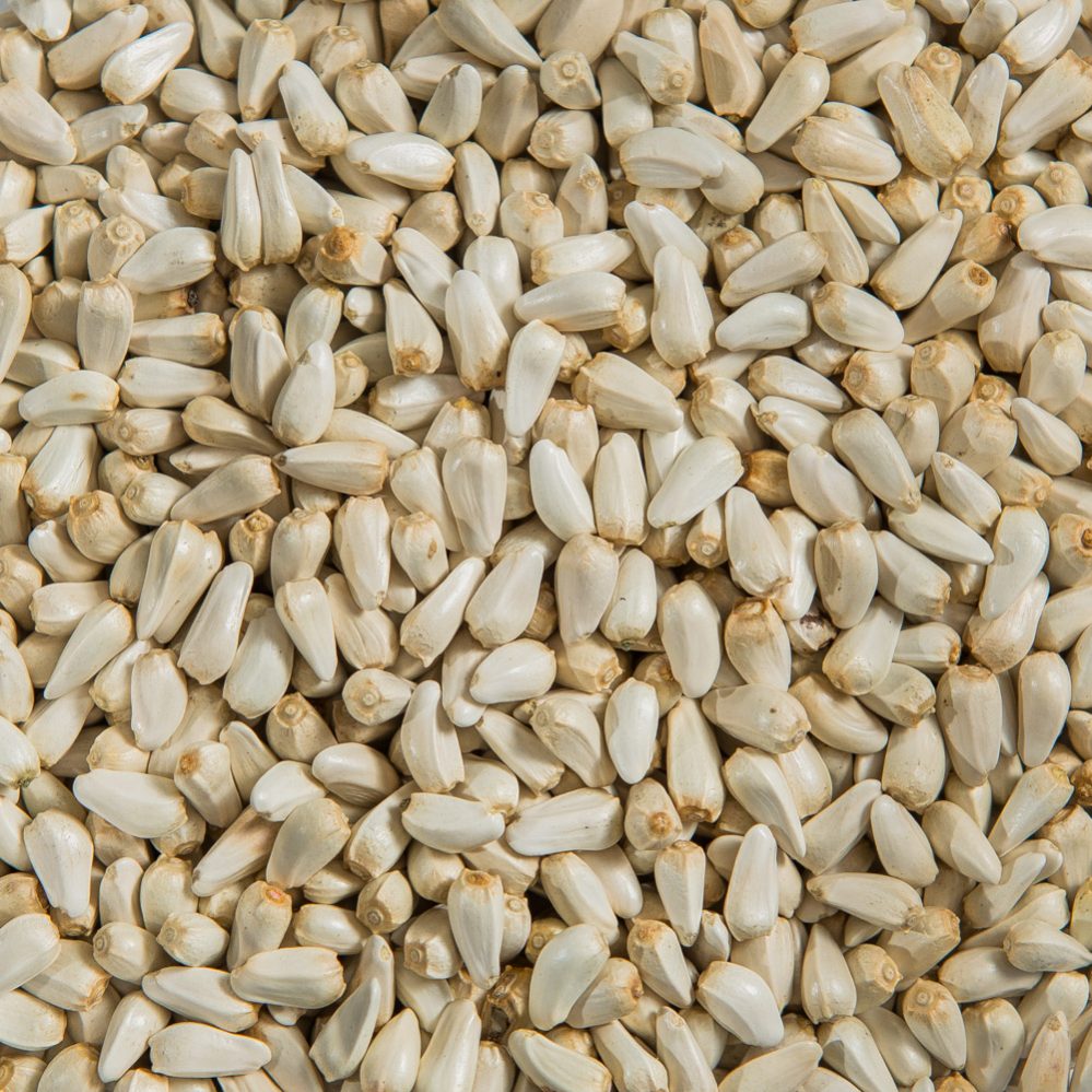 Safflower Seed