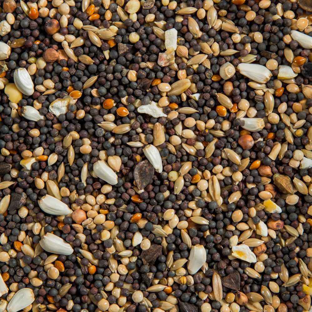 Soak Seeds