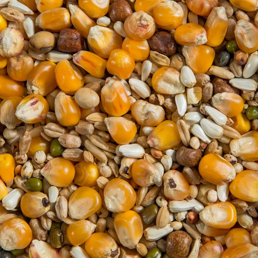 Super Widowhood Mixture