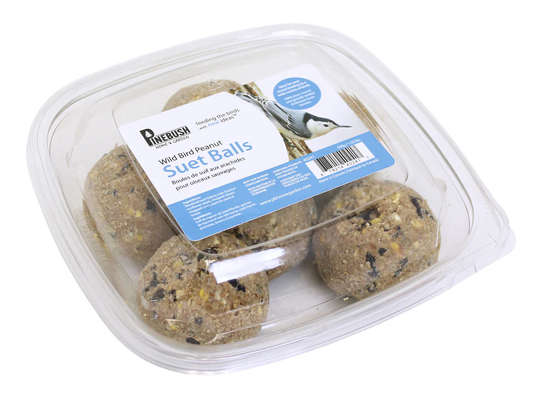 Peanut Suet Balls - 6 Pack