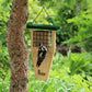 Pinebush Tail Prop Suet Cake Feeder