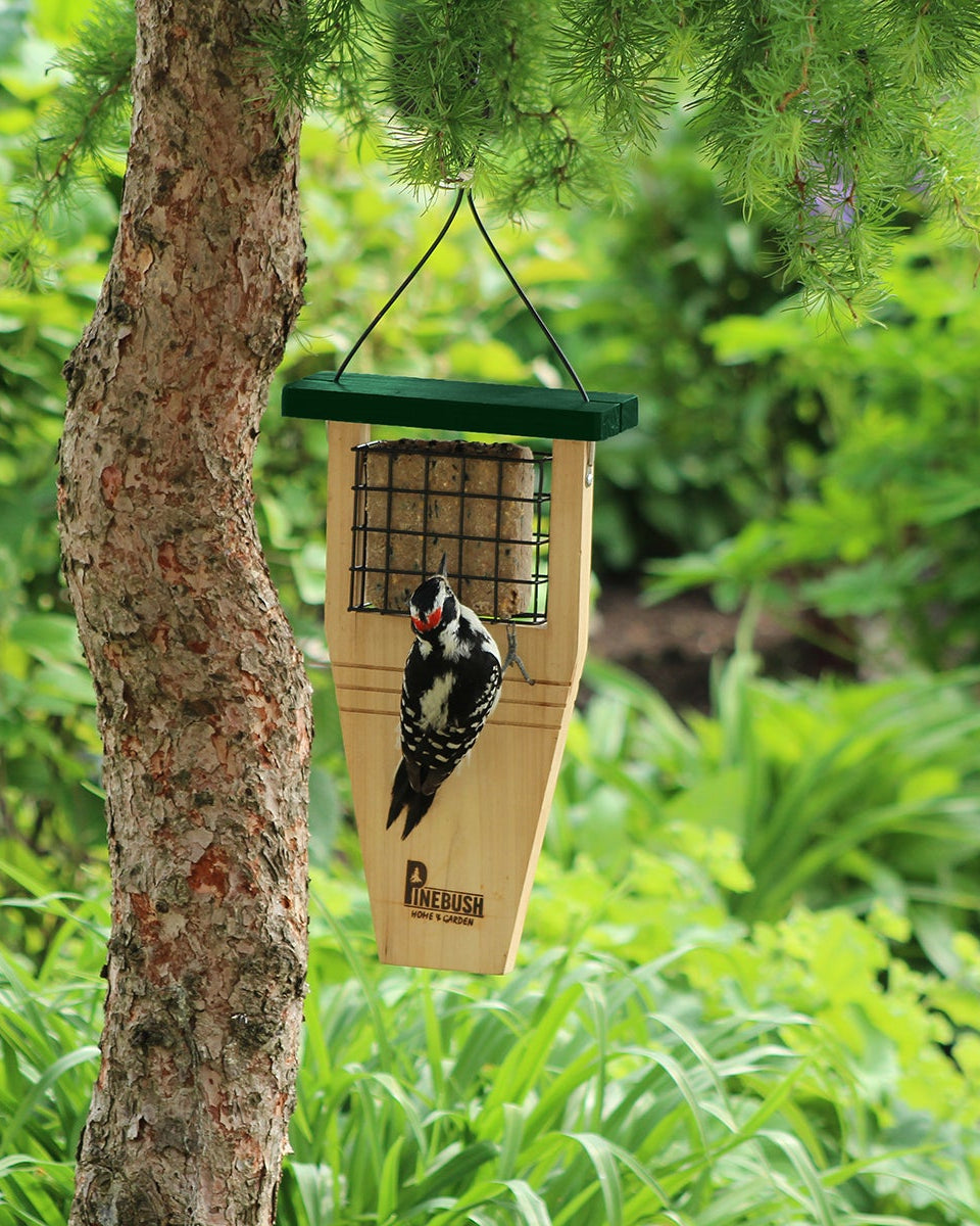 Pinebush Tail Prop Suet Cake Feeder