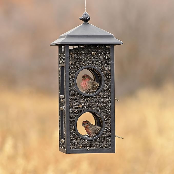 Fly Thru Feeder