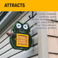 Heath Whimsical Frog Suet 'n Seed Bird Feeder for Suet Cakes and Sunflower Seeds