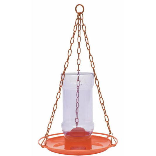 Oriole Jelly Wild Bird Feeder