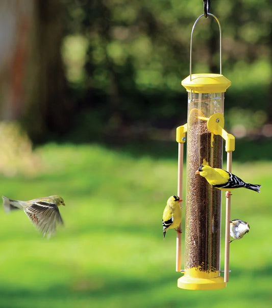 Pinebush 16'' Wingfield Finch Feeder w/ Wood Dowel Perches