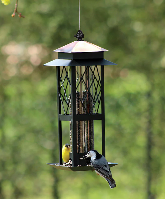 Regal Style Trellis Tube Feeder