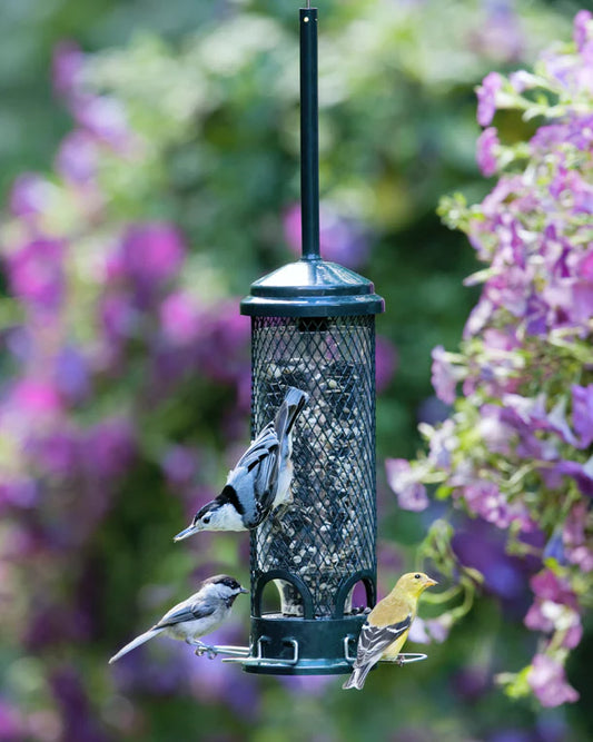 Squirrel Buster® Mini