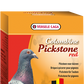 Versele-Laga Colombine Pickstone Red