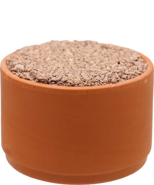 Versele-Laga Colombine Pickstone Red